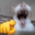 CatLaugh