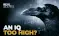 IQ2High