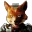 STAREfox