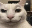 WhenTheySayTheyWantToPlayLiesOfP2