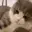 catPat