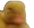 duckSMH