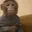 monkeWell