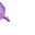 purpleSealArrive