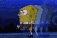 spongeAkuma