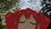 tetoSway