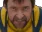 wolvLFG